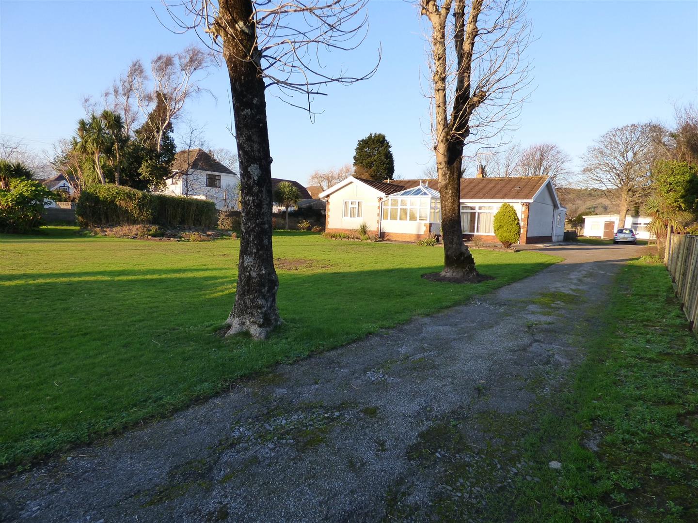 THE GROUNDS